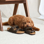 Birkenstock Soft Footbed vs Regular Footbed - Which Is Better For You?