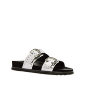 Frankie4 Deon Stud Silver Slide