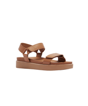 Frankie4 Zane Tan Sandals