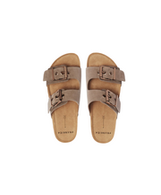 Frankie4 Tommy Mushroom Slide