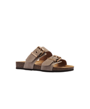Frankie4 Tommy Mushroom Slide