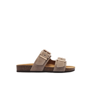 Frankie4 Tommy Mushroom Slide